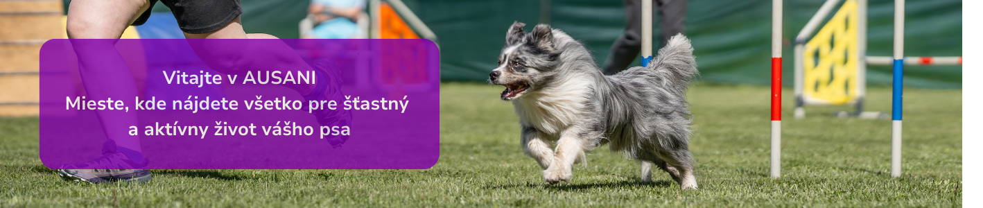 Agility pes na pretekoch