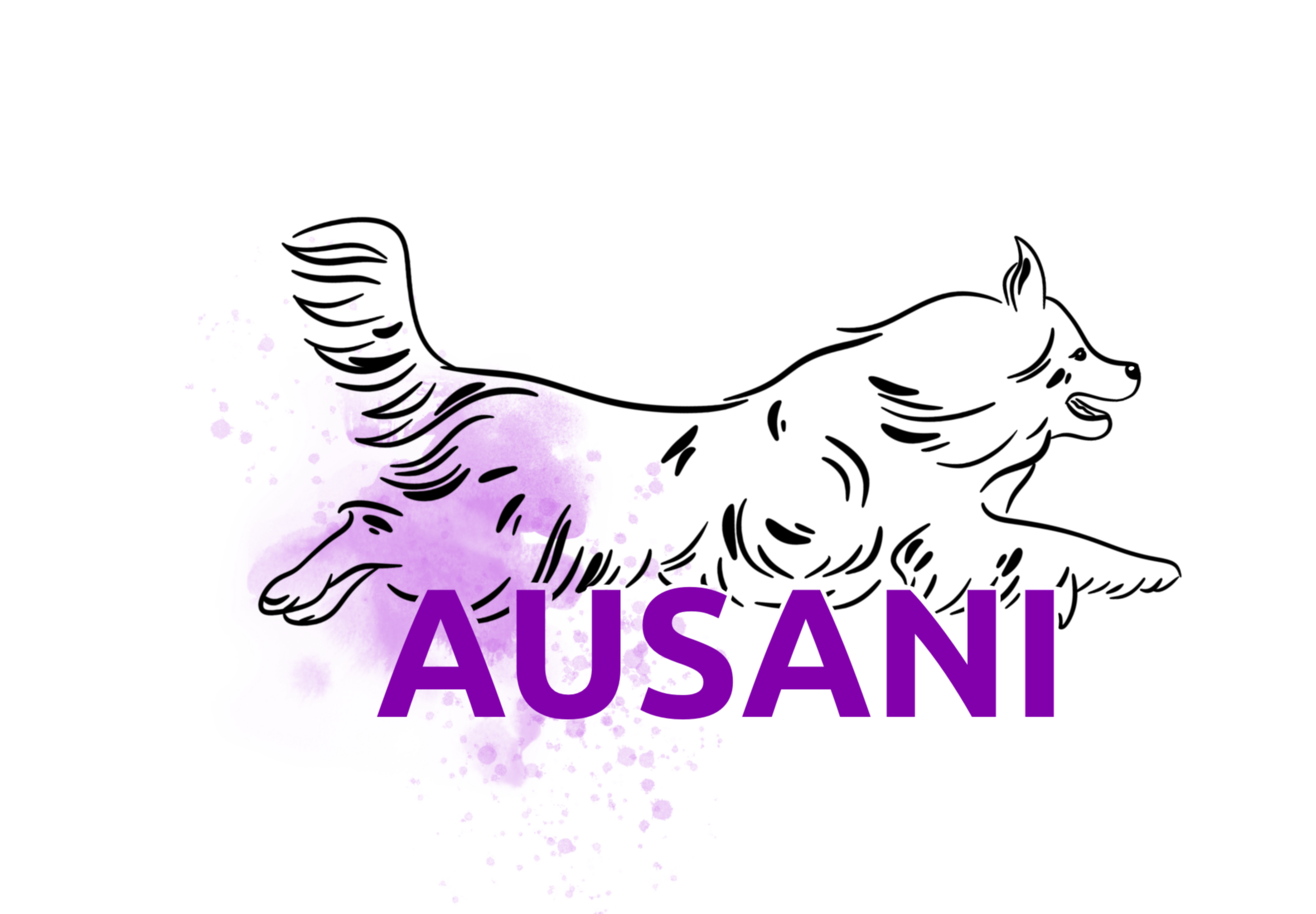 Ausani