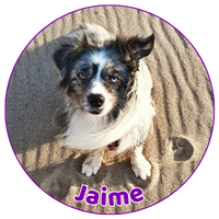 Jaime