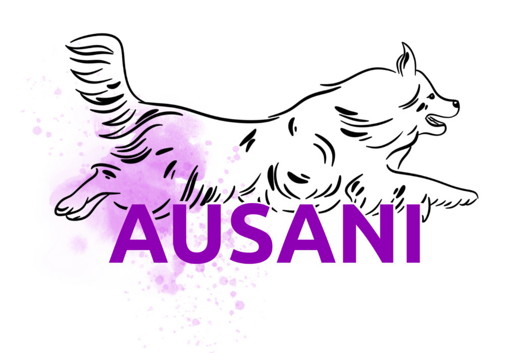 Homepage - ausani.sk