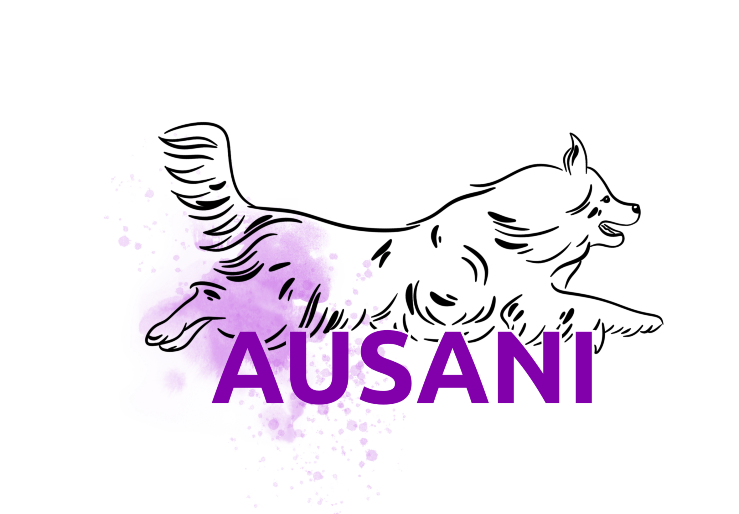 ausani.sk