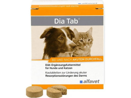 DIA TAB žuvacie tbl. 6 tbl.