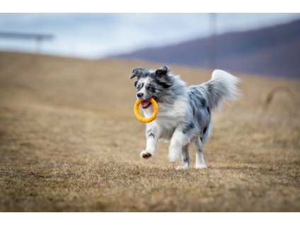 Kiwi walker lietajúci a plávajúci kruh mini 13 cm