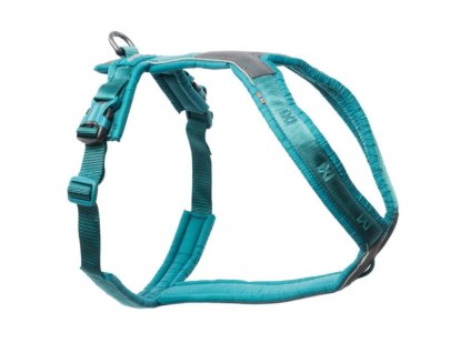 Non stop dogwear LINE 5.0 postroj teal