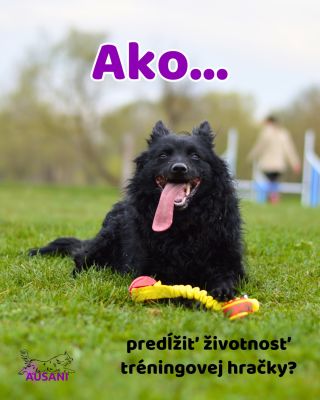 Tak a teraz sa priznajte koľko hračiek na tréning ten váš pes už zničil?🤣 Moji už celkom dosť, lebo sa mi často stáva, že...