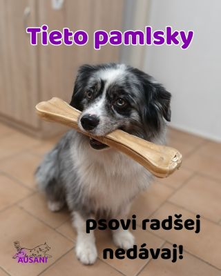Na trhu je dnes neskutočné množstvo pamlskov pre psov – od krásne farebných keksíkov, cez „zázračné“ žuvacie kosti až po...