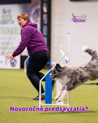 Nový rok pre mňa neznamená veľké predsavzatia. Skôr si v ňom želám pokračovať v tom, čo má zmysel – so psami, v tréningu...