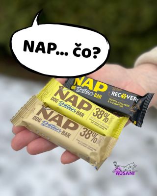 Lebo naši chlpáči si zaslúžia podporu aj po tréningu, pretekoch alebo túre ✅ Poctivo ich pripravujeme na výkon, cvičíme...