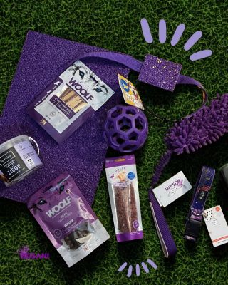 Fialová 💜 je očividne tá moja obľúbená farba 🤩 A ešte zelená 💚 A čo vaša obľúbená farba? Kupujete podľa toho výbavu psom?...