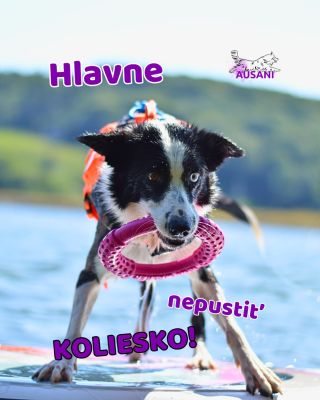Nech sa deje čo sa deje 😅