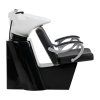 46716 1 kadernicky myci box hair system za31 cerny