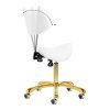 46877 8 kosmeticky taburet 1004 giovanni gold white