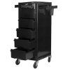 19566 6 kadernicky vozik gabbiano ft65 a black