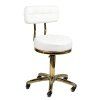 23940 5 kosmeticky taburet gold am 961 bily