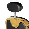 Gabbiano Barberstuhl francesco gold schwarz