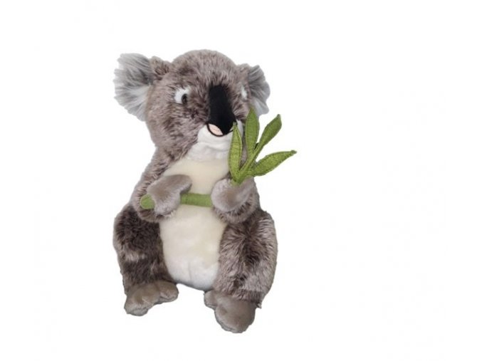 koala