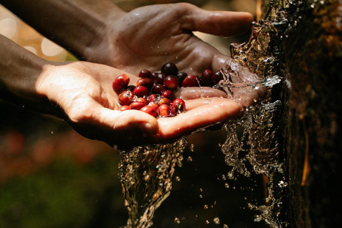 Zdravotné účinky vitamínu C a zinku
