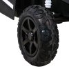 Buggy UTV 2000 | 2 místa | nafukovací kola bílá