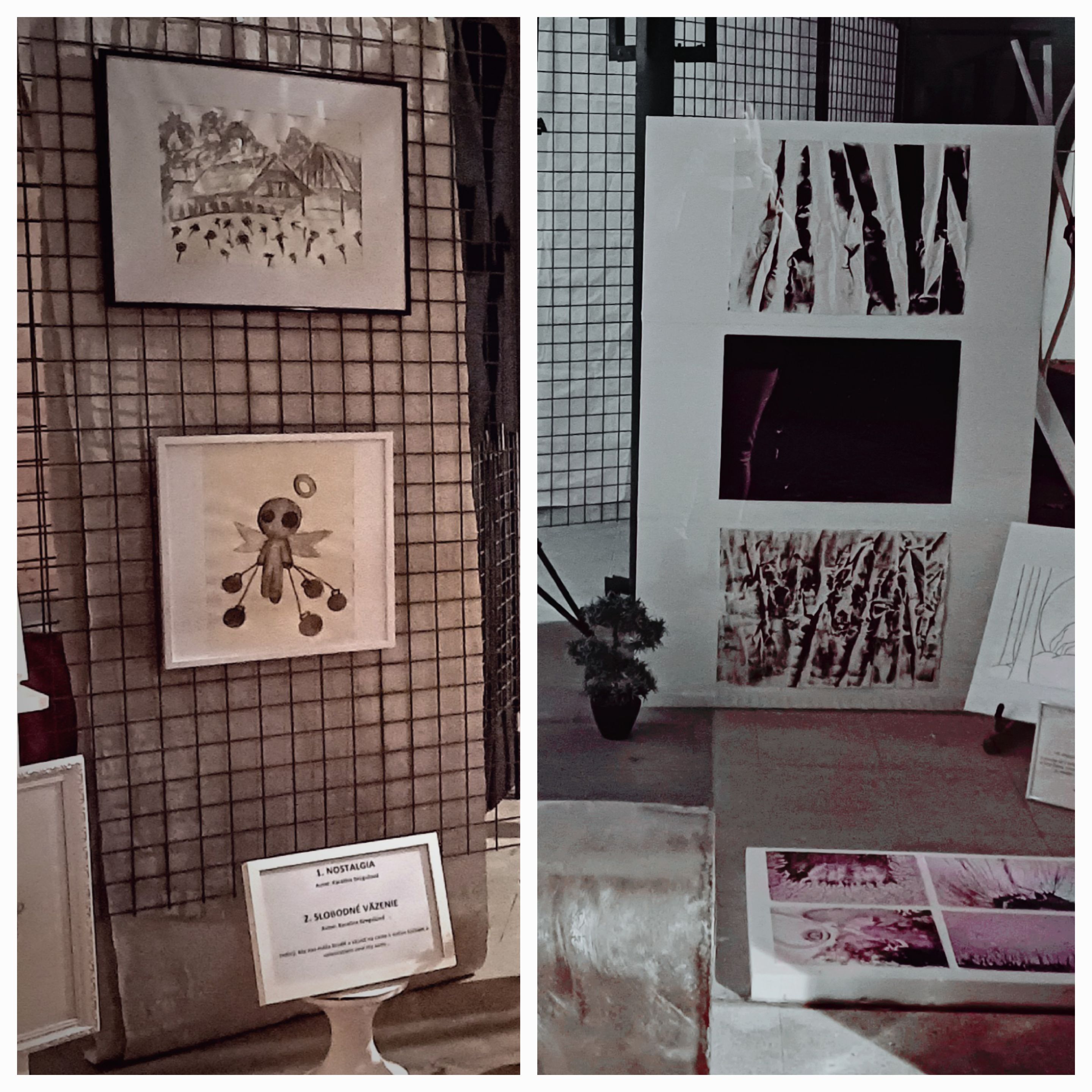 Výstava obrazov v Rajci