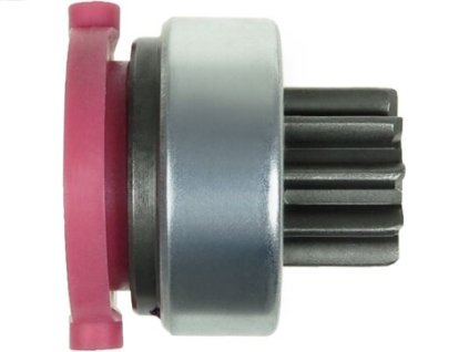 Pastorok SD1019