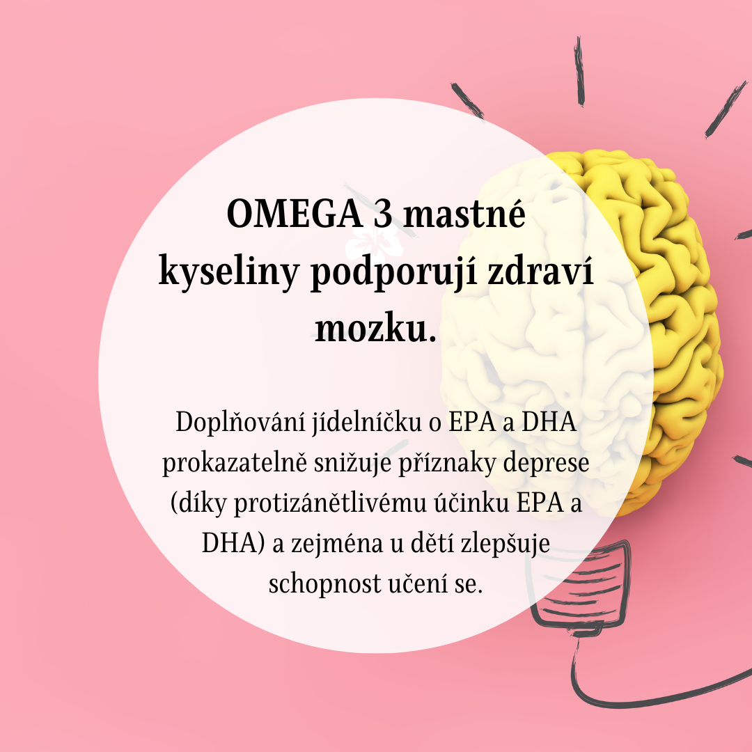 Omega 3 pro spokojený mozek!