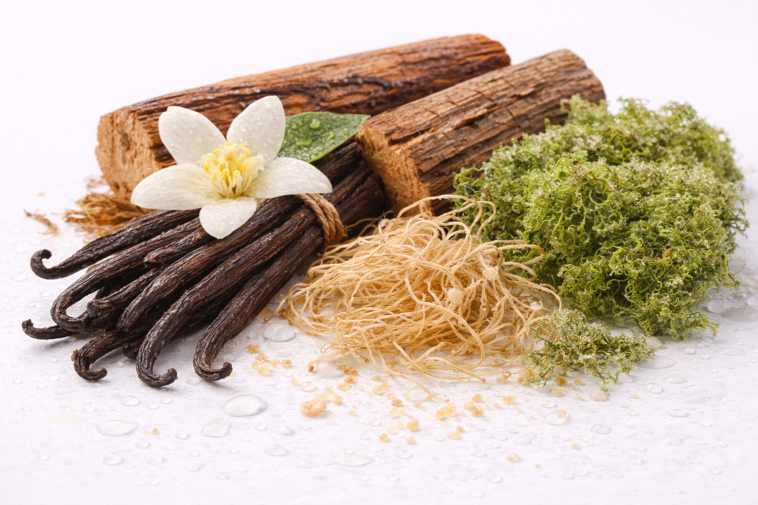 Základ vůně: vanilka, cedr, vetiver a dubový mech