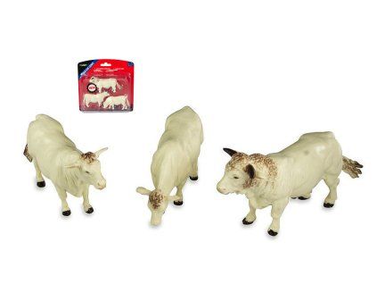 0008897 bovini charolais 1 32