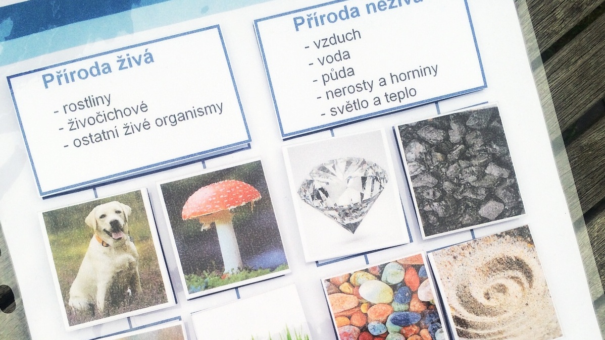 Přírodopis – příroda živá a neživá, strukturovaný úkol