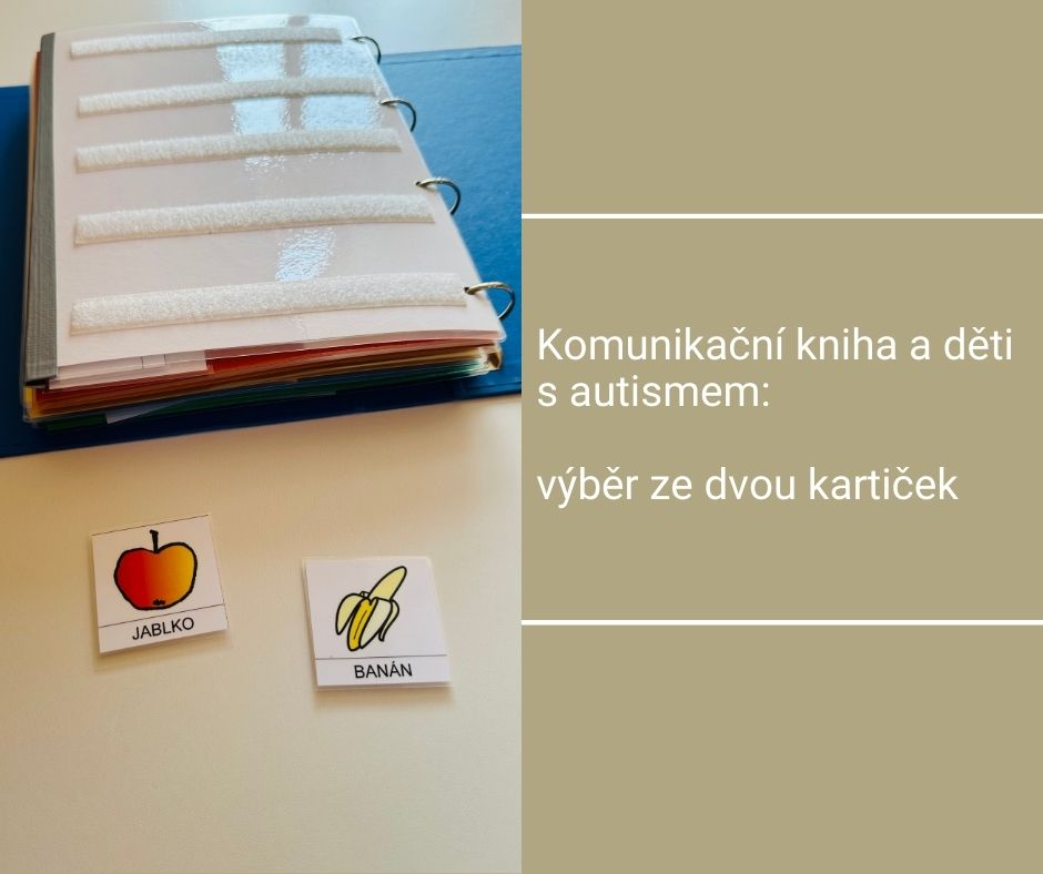 Komunikační kniha a děti s autismem: výběr ze dvou kartiček