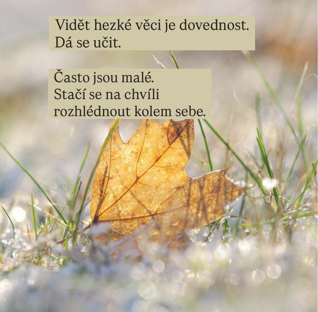 dovednost_vidět_hezke_okamziky