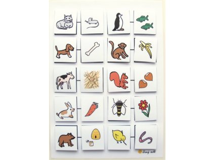 Zvířata: Čím se živí? Strukturovaný úkol