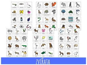 8. zvířata