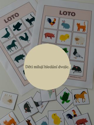 Děti se nejlépe učí hrou. 👦🏼👩🏻‍🦰👧🏻👦🏻 Stačí jednoduchý úkol, najít stejný obrázek nebo správný stín. Dítě při tom přirozeně...