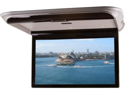 Stropný LCD monitor 19,5" s OS. Android USB/HDMI/IR/FM, diaľkové ovládanie so snímačom pohybu, šedá