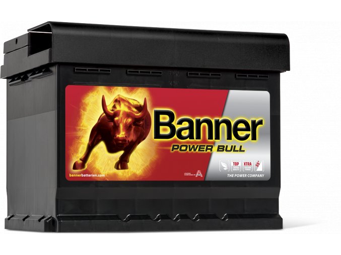 013562190101 Power Bull P62 19 DT Web Detail Ansicht