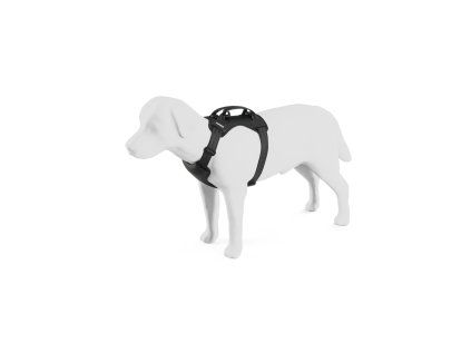 Small Pressroom Thule Cappy 02