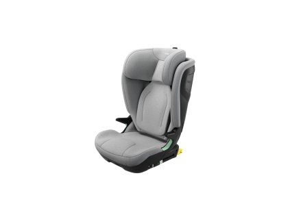 Small Thule Palm MidGray Iso 14000025