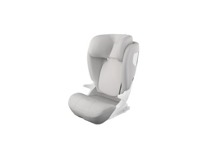 Small Thule Palm car seat cover A Iso 14000028