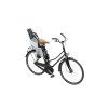 Small Thule RideAlong Lite2 LightGrey InUse OnBike