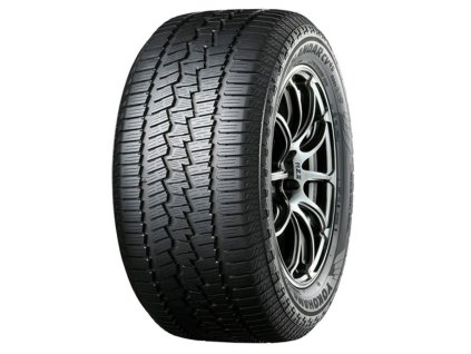 VY 013YO G061 1