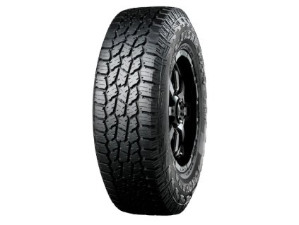 VY 013YO G018 1
