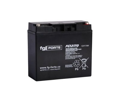 FG12170 hi