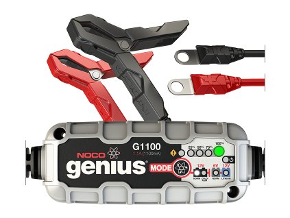g1100 350x279