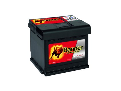 6605 013550030101 Power Bull P50 03 DT Klassische Ansicht.small