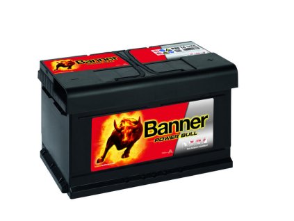 6856 013580140101 Power Bull P80 14 DT Klassische Ansicht.small