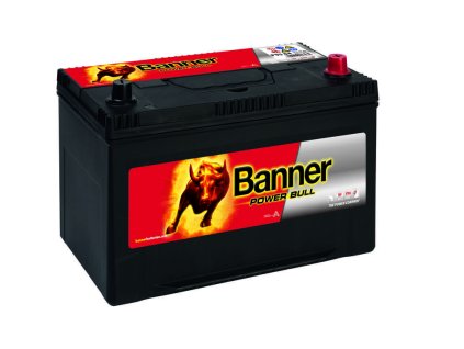 6662 013595040101 Power Bull P95 04 Klassische Ansicht.small