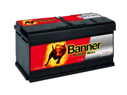6665 013595330101 Power Bull P95 33 DT Klassische Ansicht.small