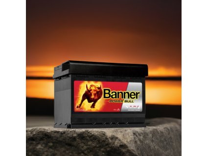 Banner Power Bull PROfessional P63 40, 63Ah, 12V ( P6340) P6340 edited 3