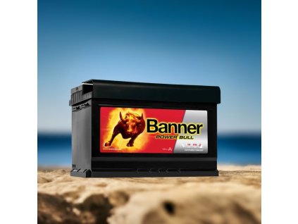 Banner Power Bull PROfessional P84 40, 84Ah, 12V ( P8440 ) P8440 edited 4