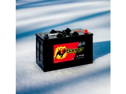 Banner Buffalo Bull 610 47, 110Ah, 12V ( 61047 ) edited 2